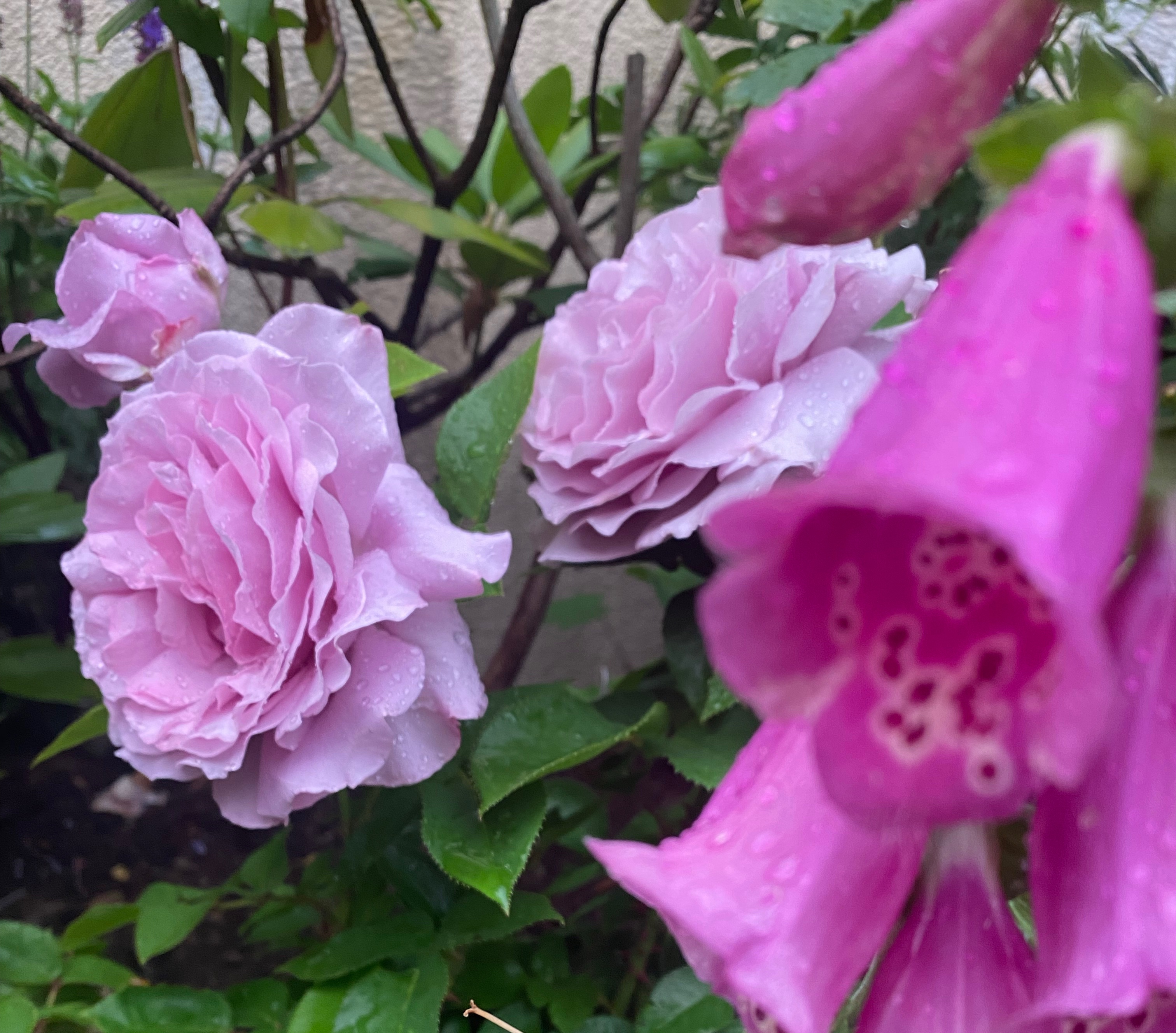 Mid-Week Boost: Decorate Your Soul – Poems & More