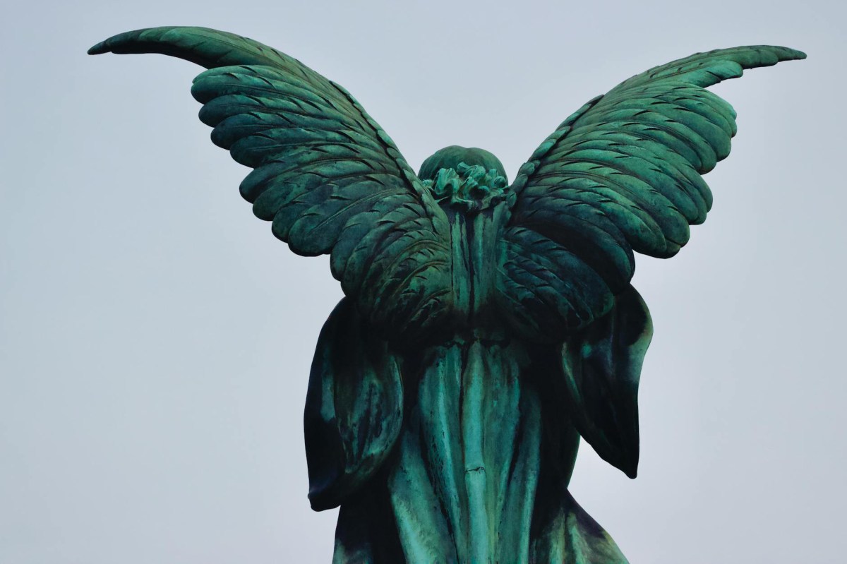 The OG! |with audio ©Dawn&nbsp;Minott